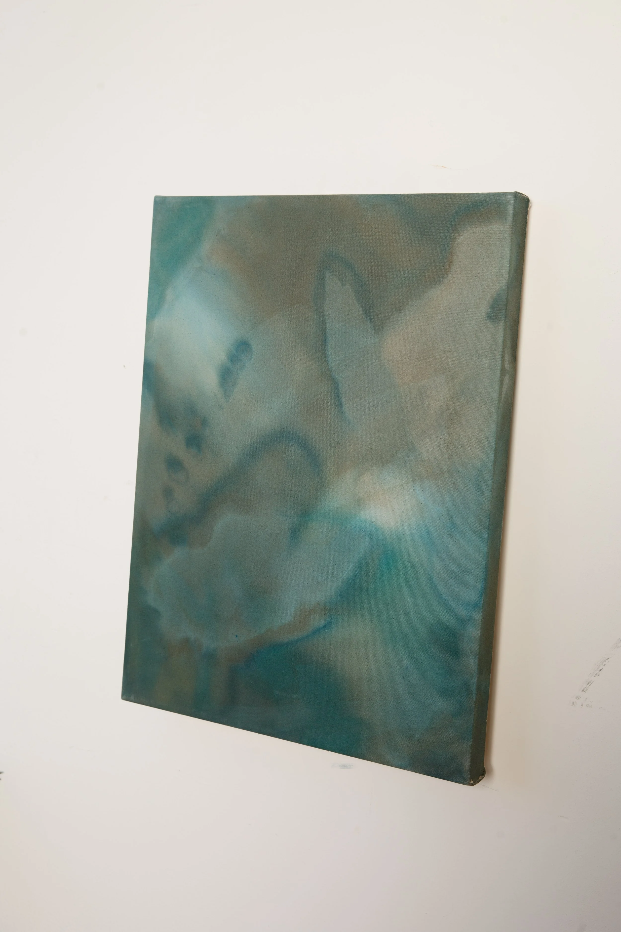 Let's Walk to the Tidepools